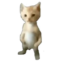 miguel