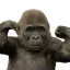 GorillaFlex