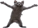 catdance