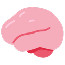 meme_smoothBrain Discord emoji