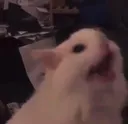 1_