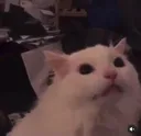 2_
