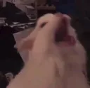 3_ 3_