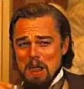 leonardo