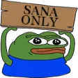 SanaOnly SanaOnly