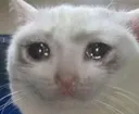 sad