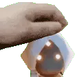 PETTHEMOTH
