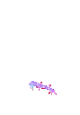amphrainbowheart