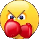 punch_bonus
