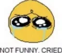 Notfunnycried notfunnycried Discord Emoji