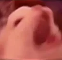 cat_scream