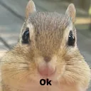 OkBuddy