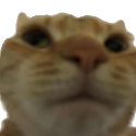 swagwhat Discord emoji