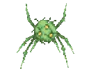 lukki