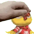 petthevanoss