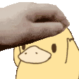 pettheduck Discord emoji