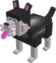 Hondje Hondje