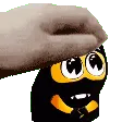 av1_anim