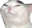 CatSmug