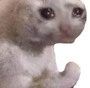 CatFist