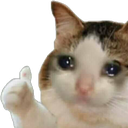 CatThumb