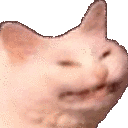 CatBlush