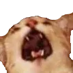 CatYell