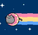 donutcat