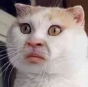 ew