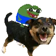 Dogride