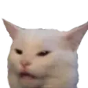 disgusting_cat