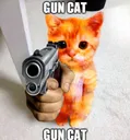 BeanGunCat
