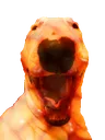 WalterBeans