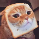bread_cat