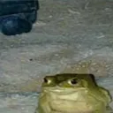 evansphrog