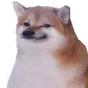 shib