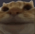 nope Discord emoji