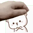patPGamerX