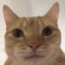 bruh