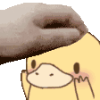 petshyduck Discord emoji