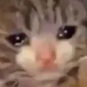 mow