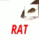 z_njrRAT