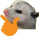 Opossum_think Opossum_think