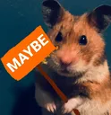 HamsterMaybe