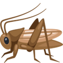 crickets Discord emoji