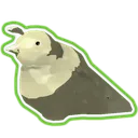 Wax_Quail