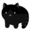 cwhiteblackcat