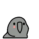 partyparrotcrying