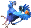 LoveBirds Discord emoji