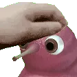 beanpet